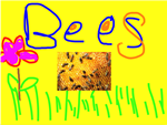 bees bees